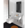 Унитаз подвесной LAUFEN PRO S RIMLESS 8.2096.2.000.000.1